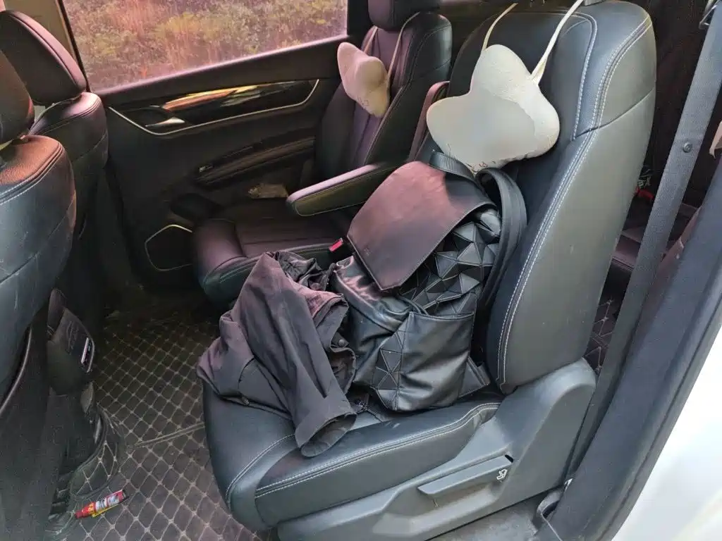 BYD MAX — миниатюра 18