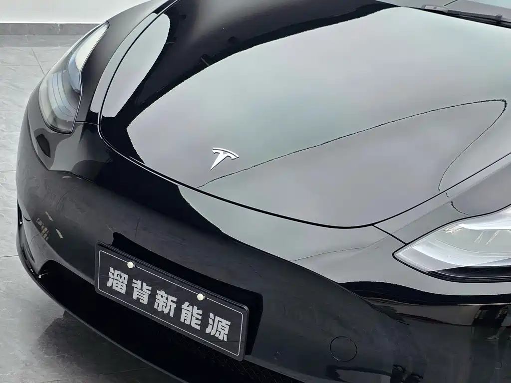 Tesla Model Y — миниатюра 4