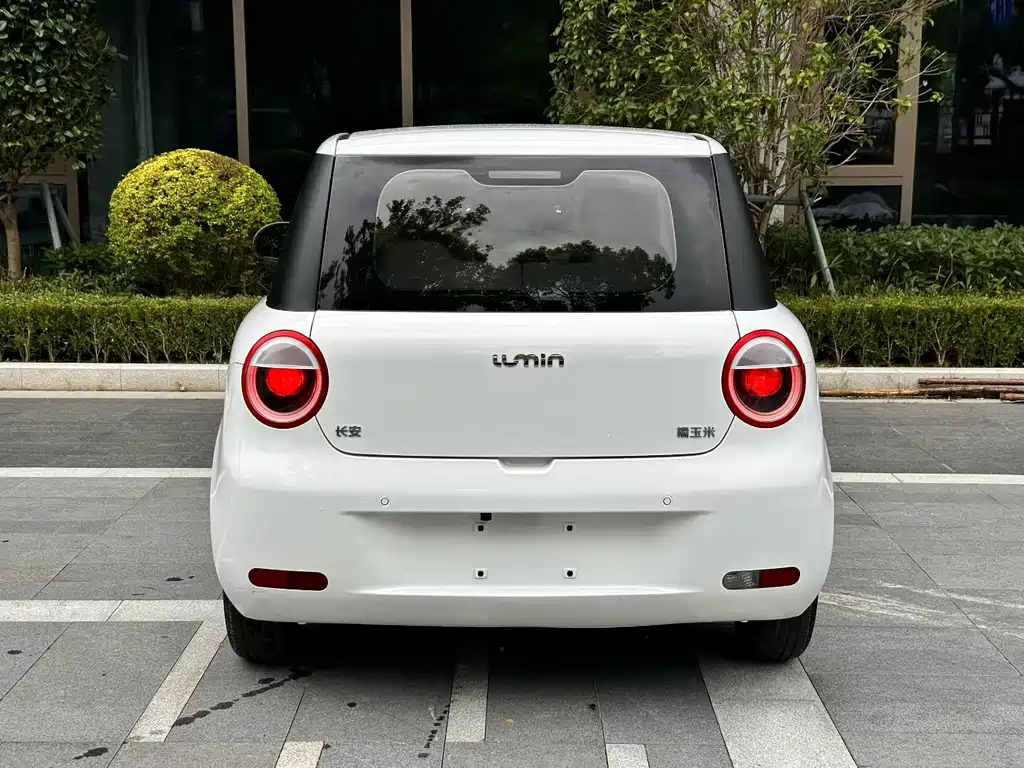 Qiyuan Lumin — миниатюра 8