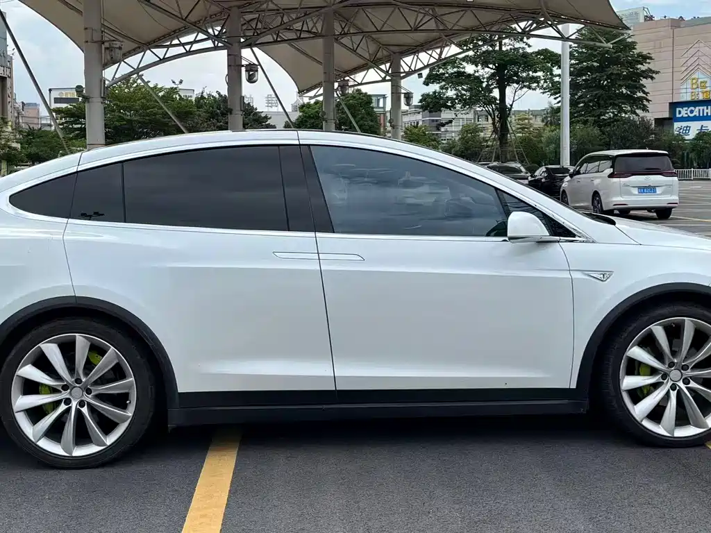 Tesla Model X — миниатюра 6