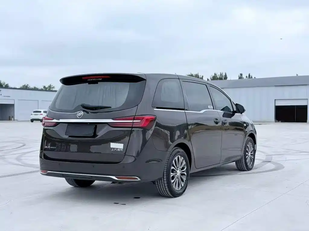 Buick GL8 — миниатюра 7