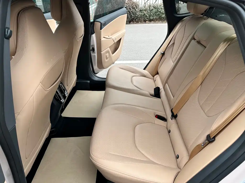 ARCFOX EXTREME FOX POLAR FOX ALPHA S5