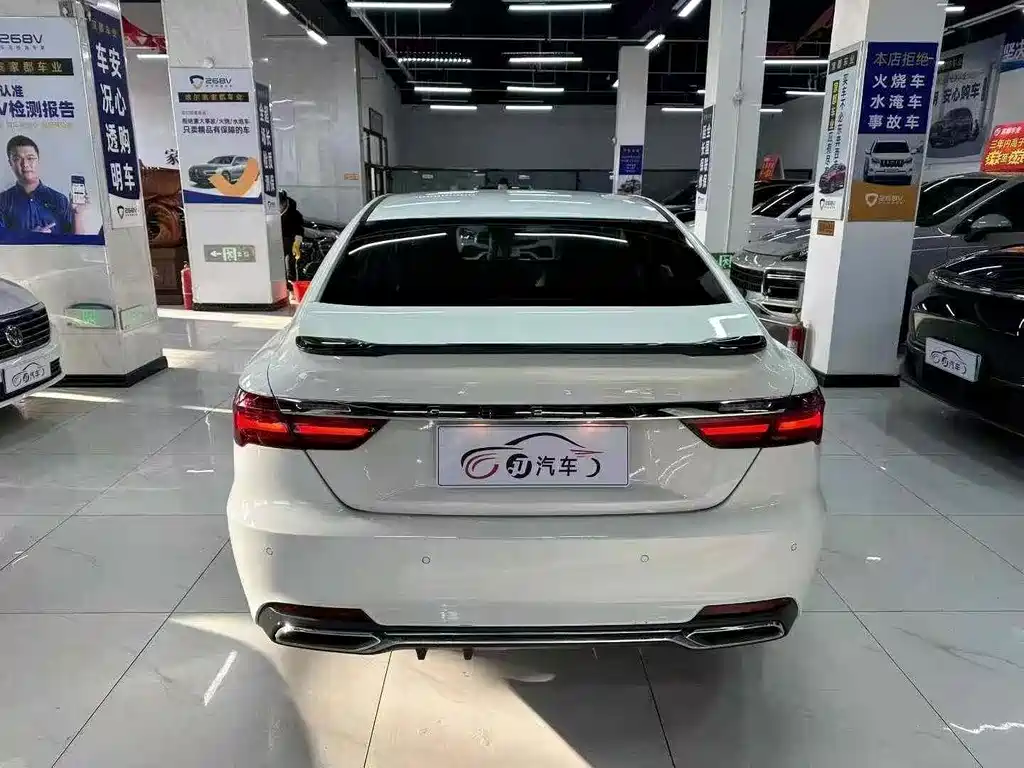 GEELY AUTOMOBILE BINRUI