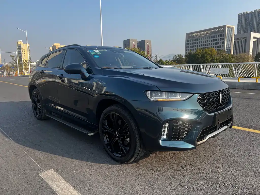 WEI PAI WEI BRAND VV7