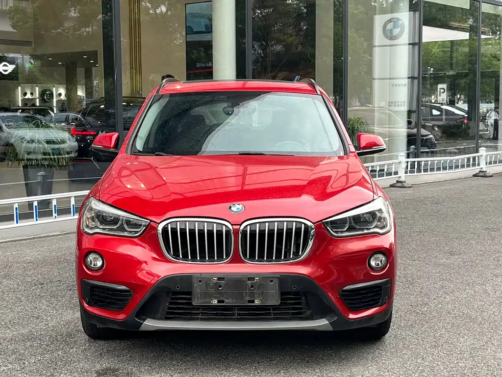 BMW X1 — миниатюра 2