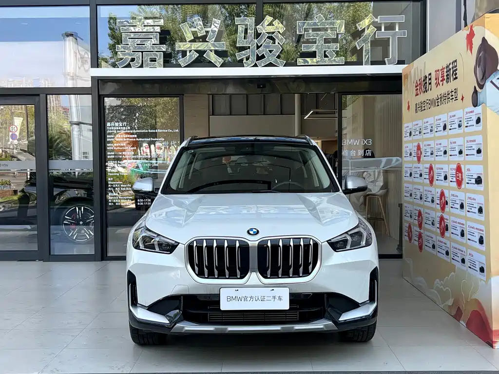 BMW X1 — миниатюра 2