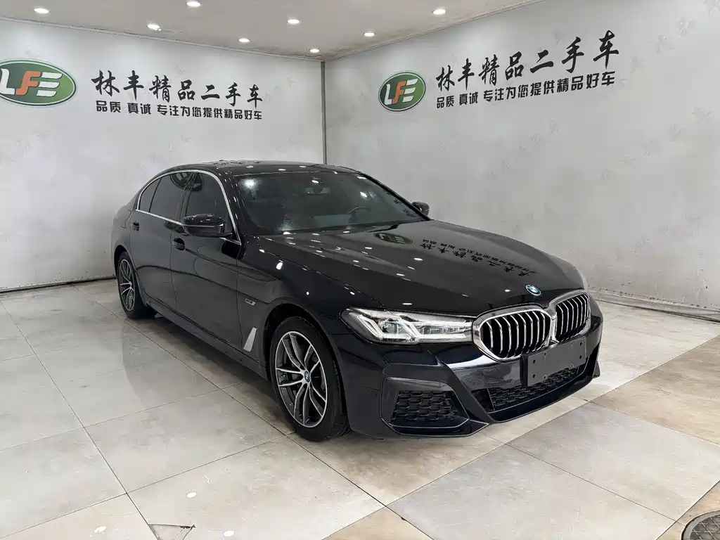 BMW 5 SERIES NEW ENERGY
