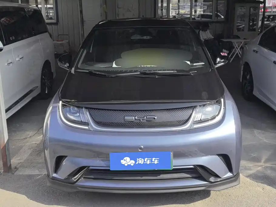 BYD Dolphin — миниатюра 2
