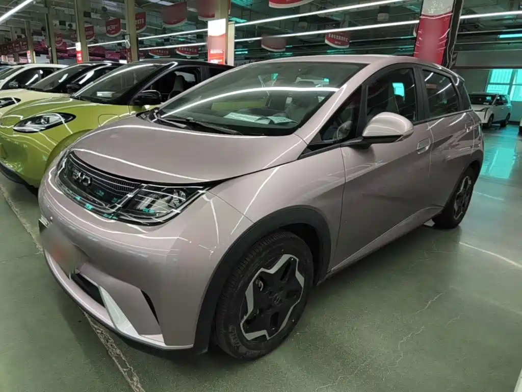 BYD Dolphin — миниатюра 2