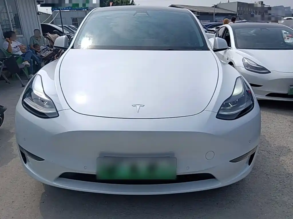 Tesla Model Y — миниатюра 3