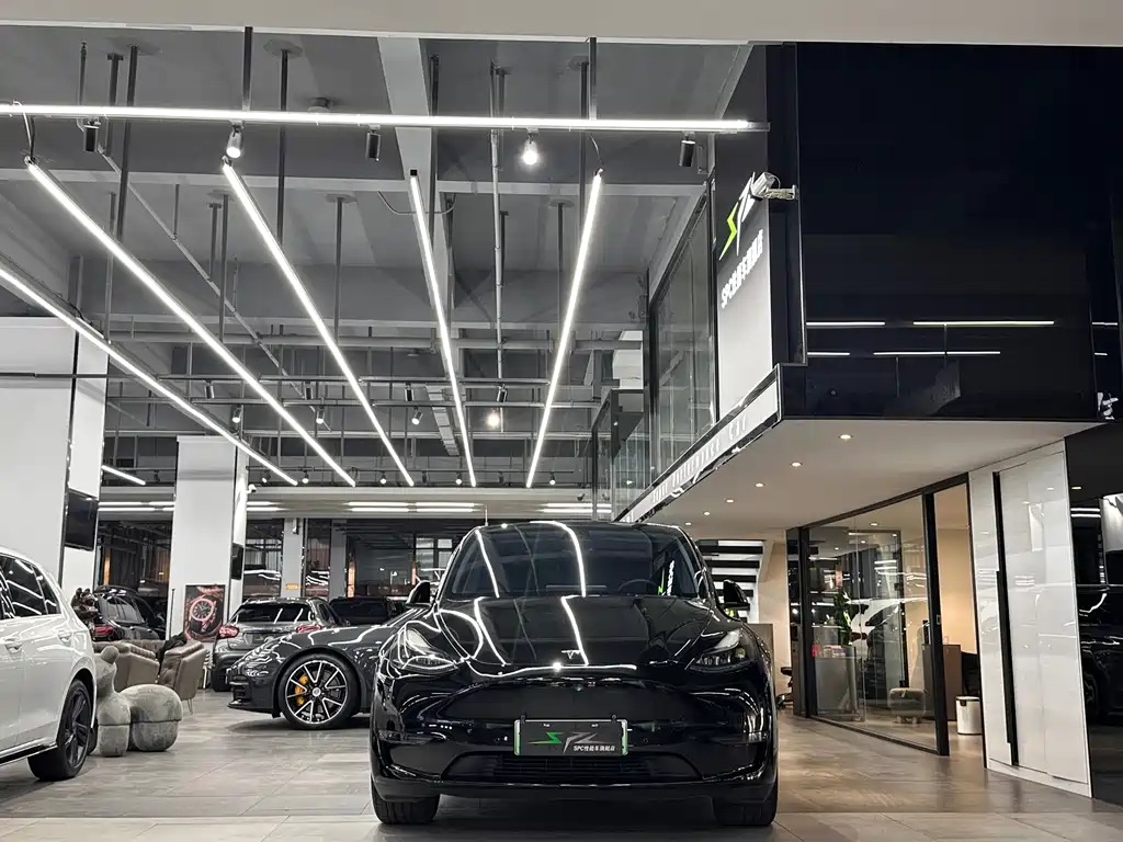 Tesla Model Y — миниатюра 2
