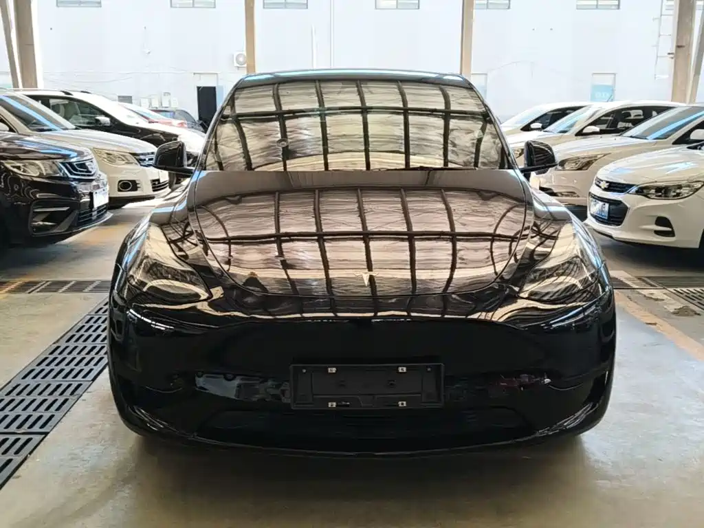 Tesla Model Y — миниатюра 3