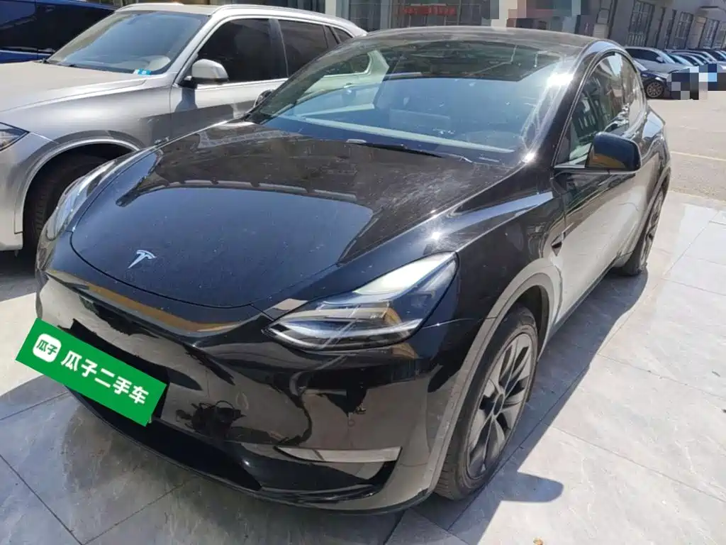 Tesla Model Y — миниатюра 2