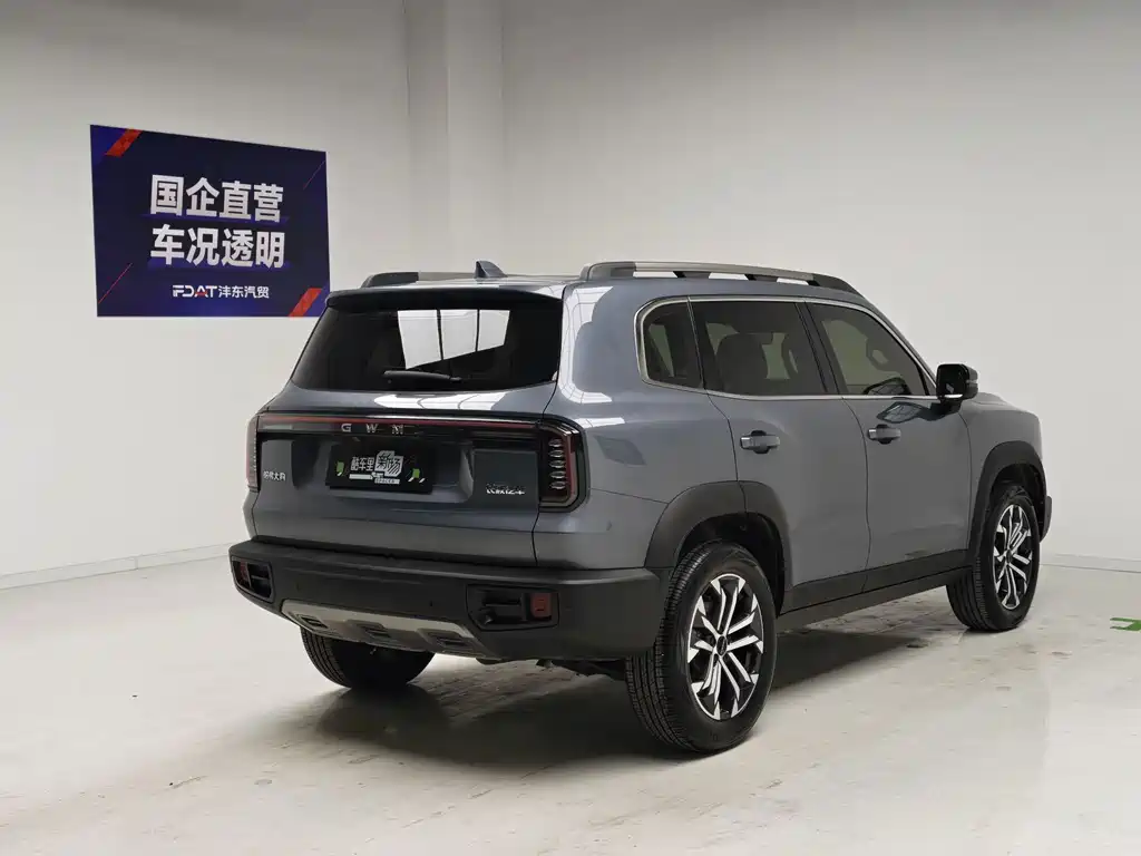 Haval Big Dog — миниатюра 4