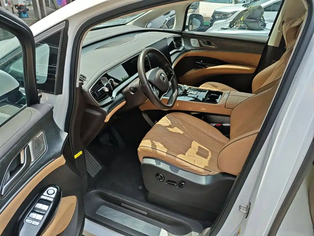 Denza Denza D9 — миниатюра 16