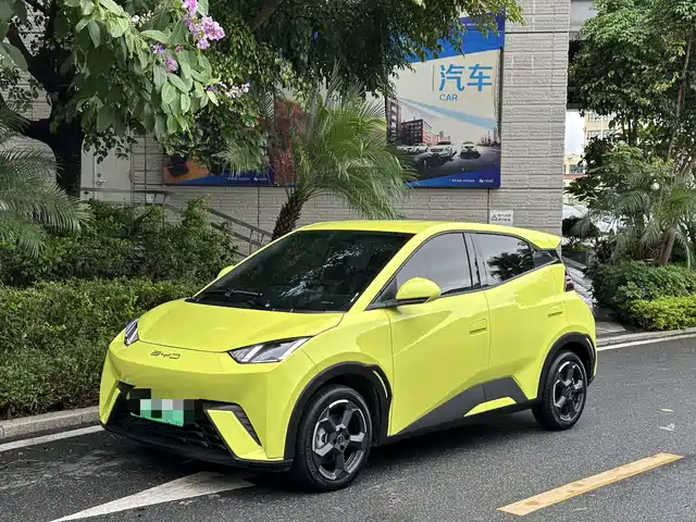 2024 BYD Seagull