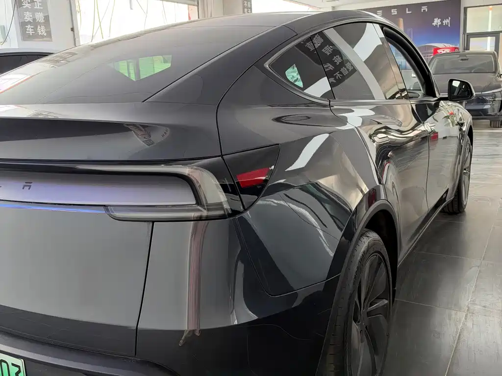 Tesla Model Y — миниатюра 8
