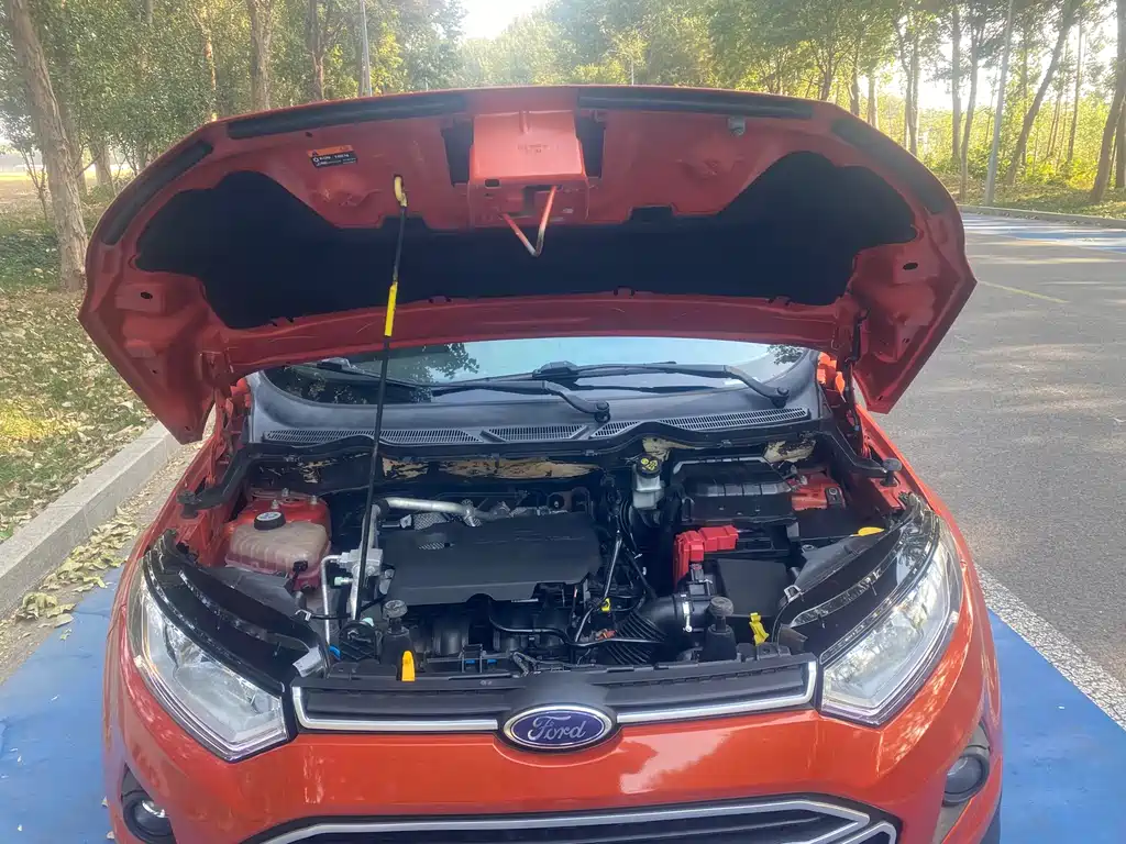 Ford Ecosport — миниатюра 8