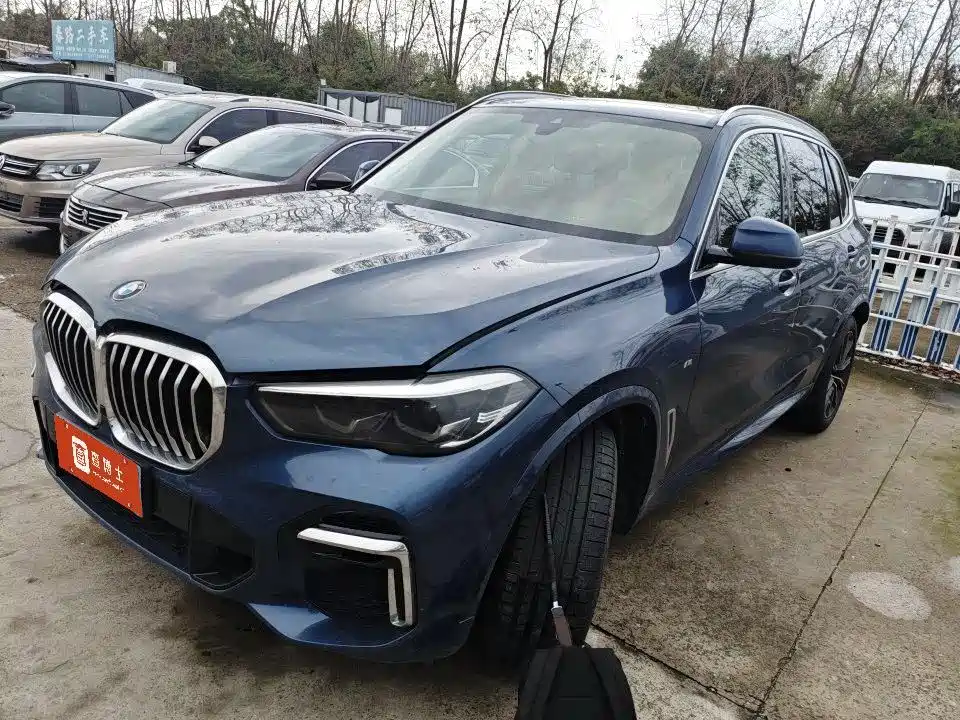 BMW X5 2022 xDrive 30Li M Sport