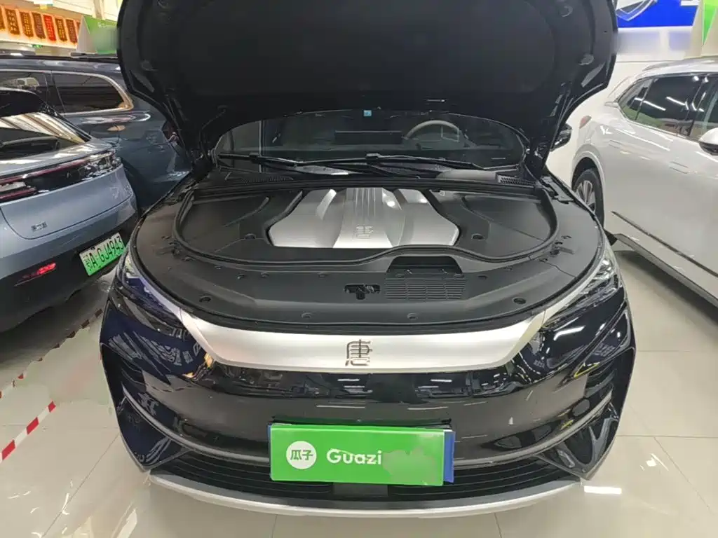 BYD Tang New Energy — миниатюра 20