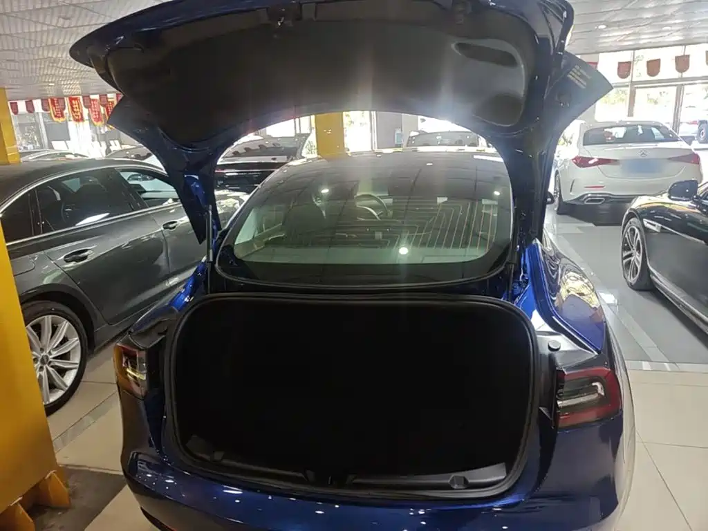 Tesla Model 3 — миниатюра 19