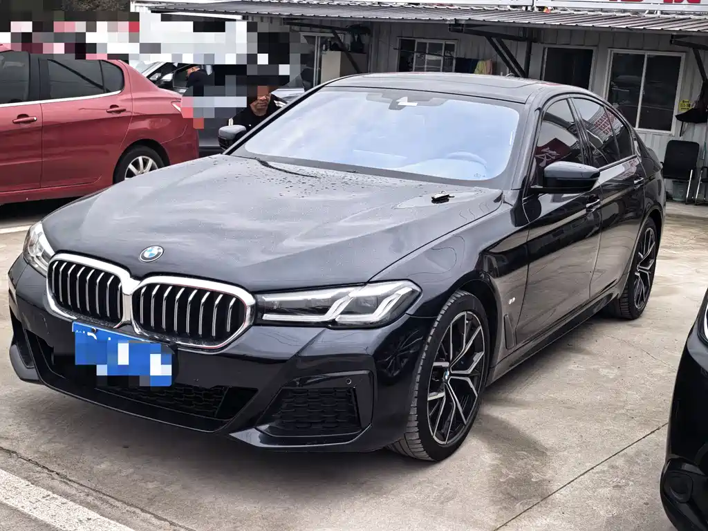 BMW 5 Series (Import) 2021