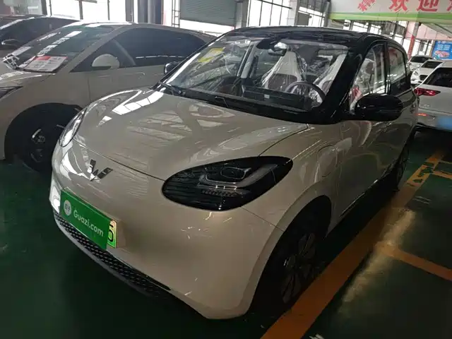 2026 Wuling Motors Binguo