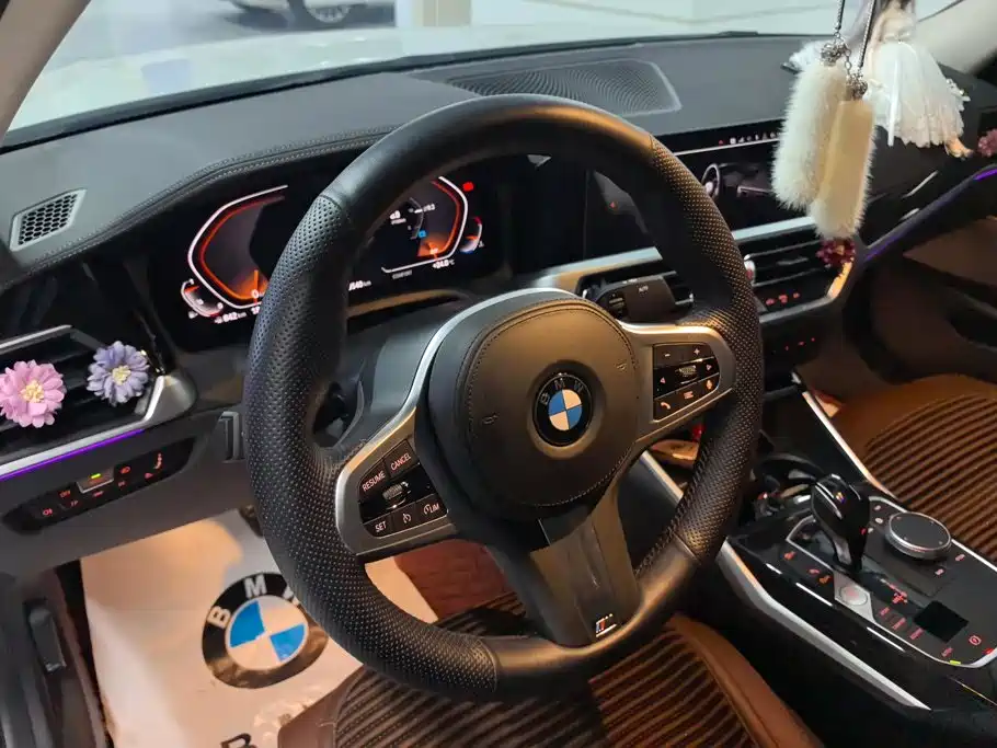 BMW 3 Series — миниатюра 15