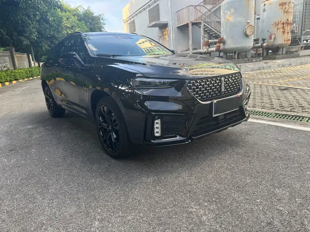 WEI PAI WEI BRAND VV7