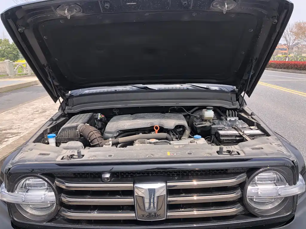 Tank 300 2021 2.0T