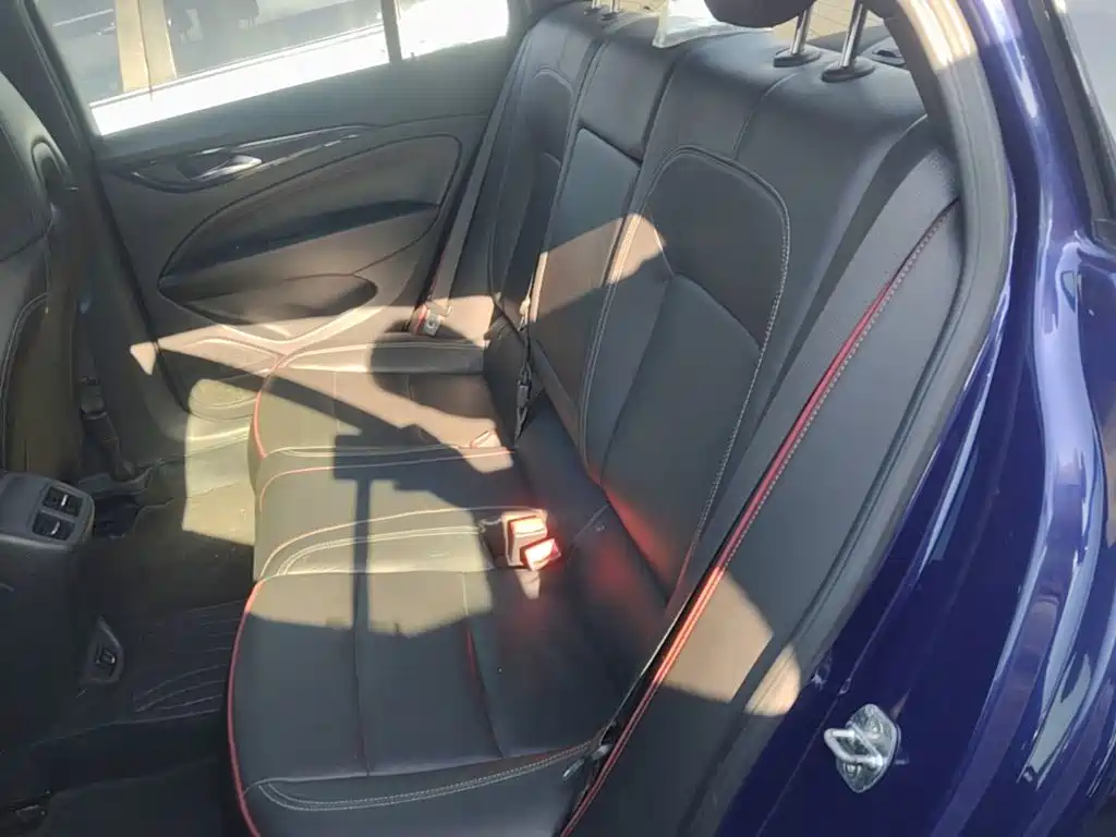 Buick Regal — миниатюра 17