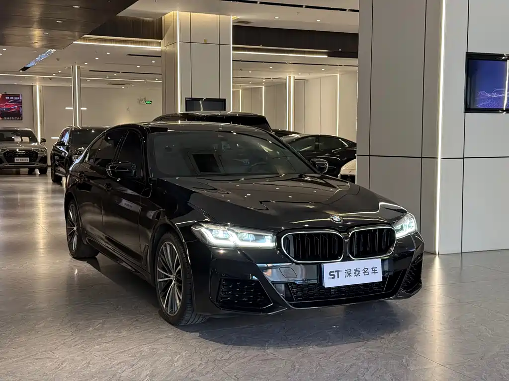 BMW 5 Series — миниатюра 3