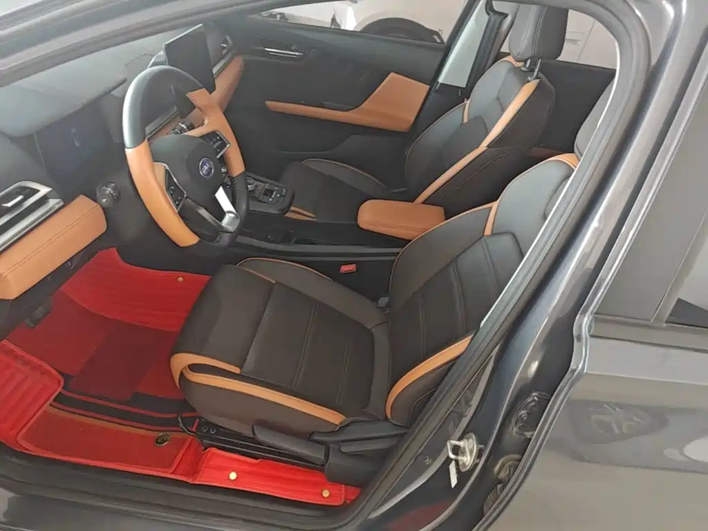 BYD e2 — миниатюра 15