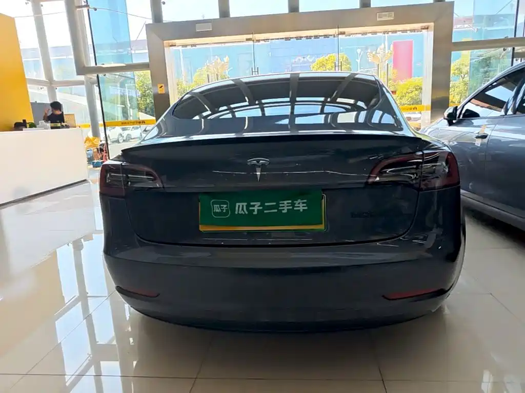 Tesla Model 3 — миниатюра 6