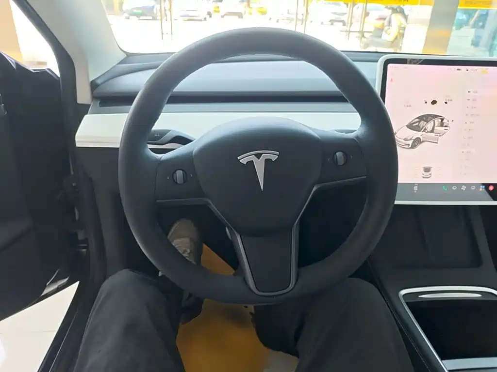 Tesla Model 3 — миниатюра 11