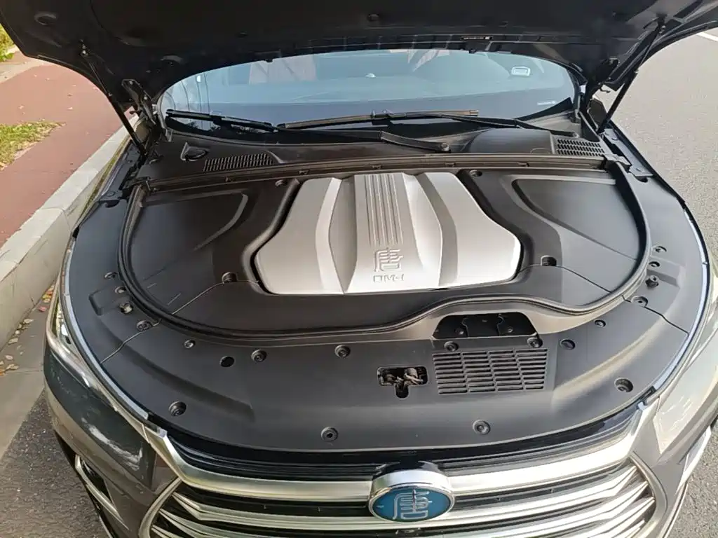 BYD Tang New Energy — миниатюра 20