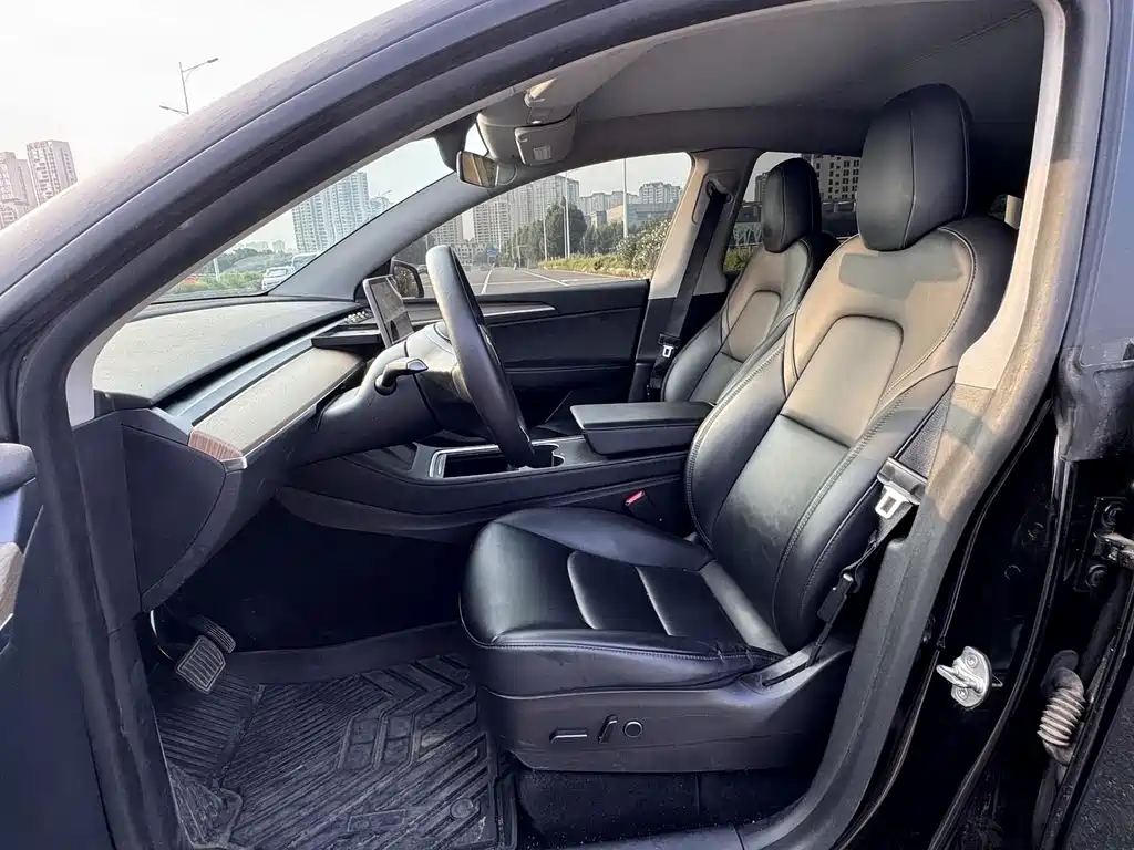 Tesla Model Y — миниатюра 6