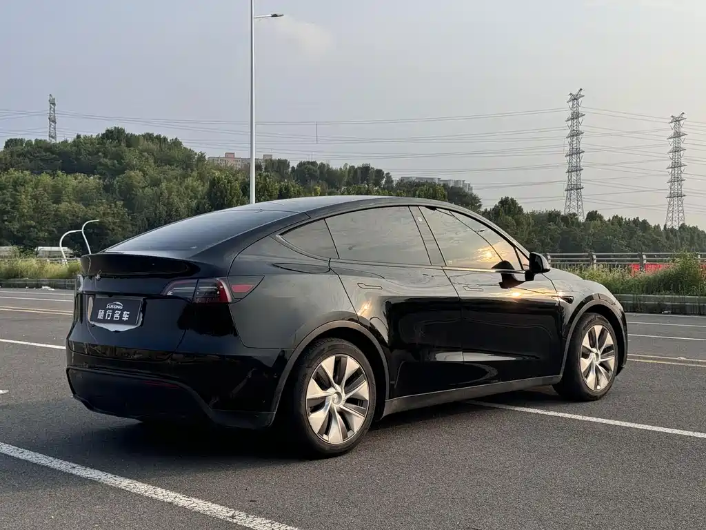 Tesla Model Y — миниатюра 19