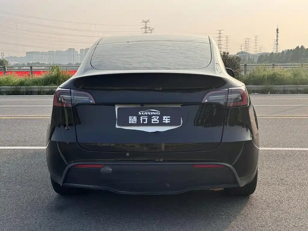 Tesla Model Y — миниатюра 20