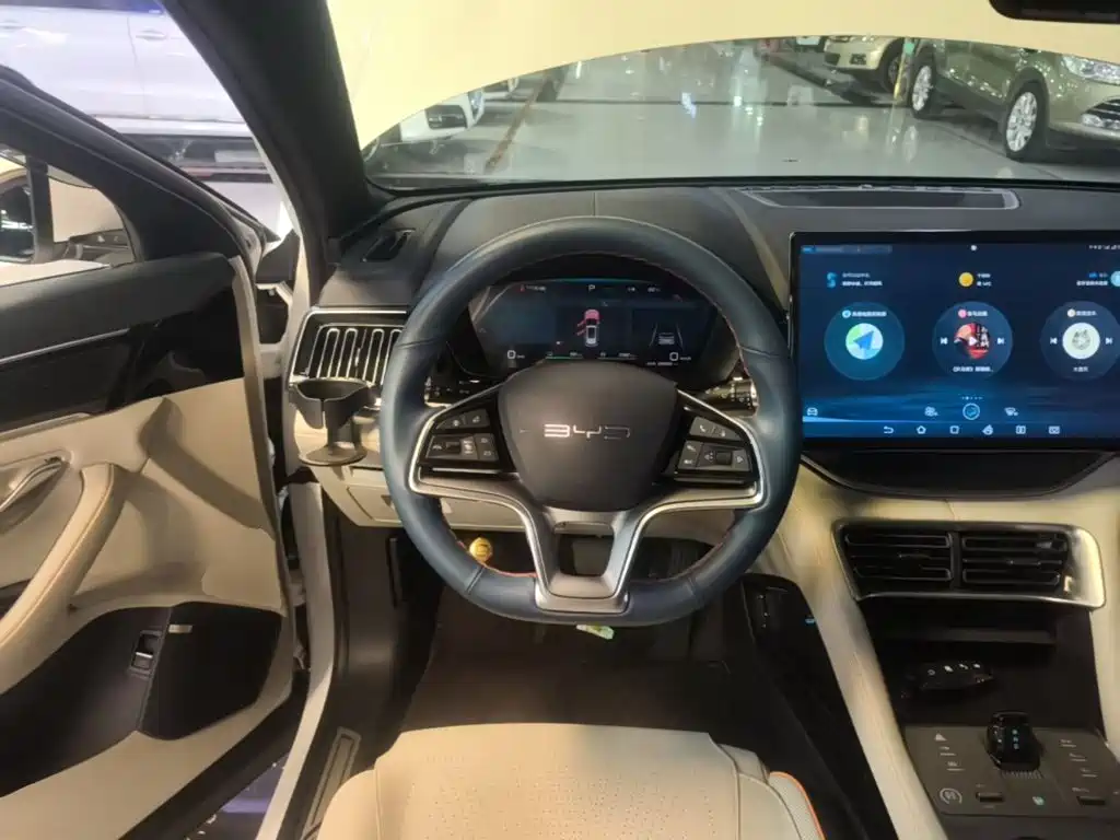BYD PLUS New Energy — миниатюра 11