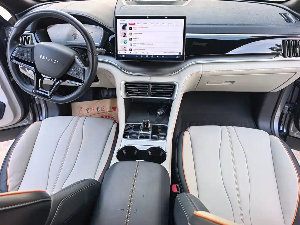 BYD PLUS New Energy — миниатюра 11