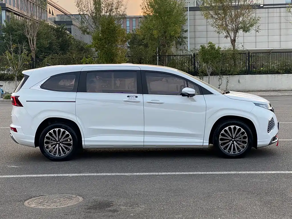 Hyundai Custo — миниатюра 14