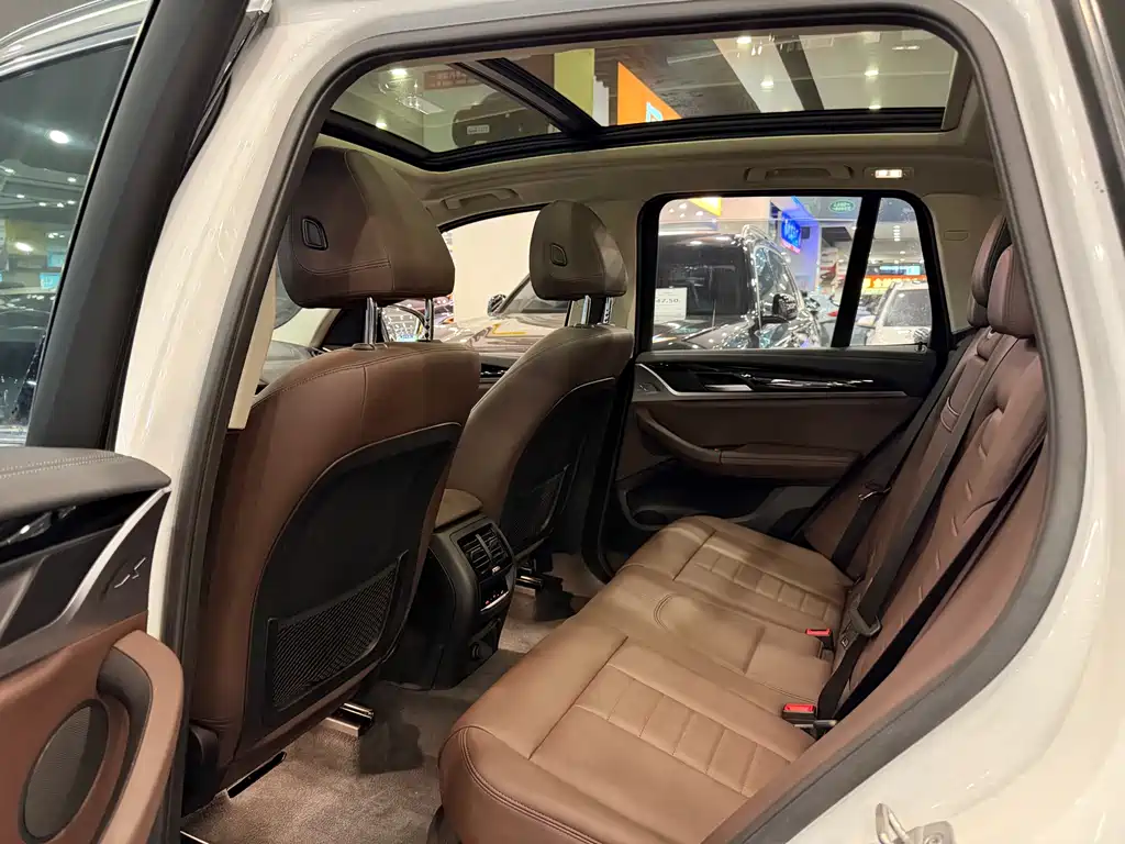BMW X3 2018 xDrive25i Luxury VI