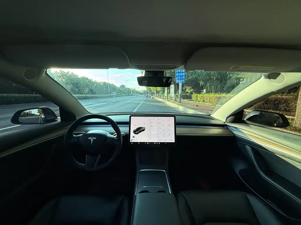 Tesla Model 3 — миниатюра 15