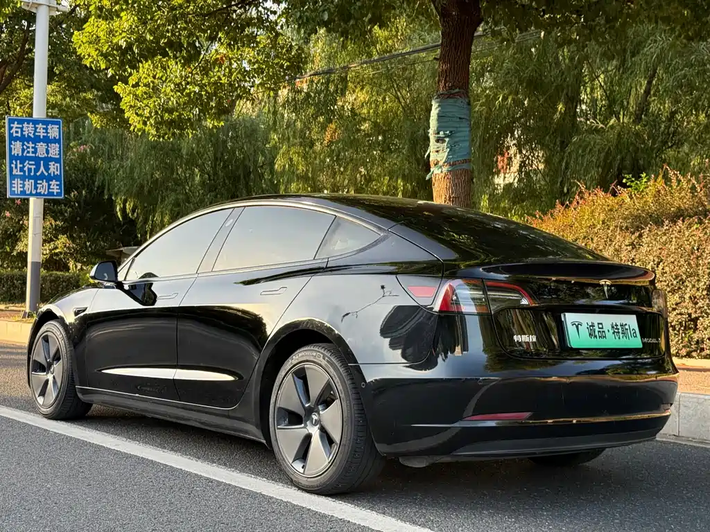 Tesla Model 3 — миниатюра 3