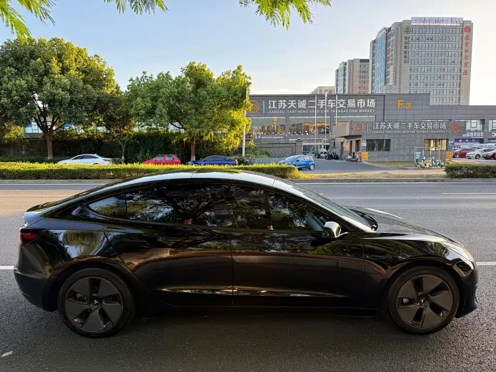 Tesla Model 3 — миниатюра 6