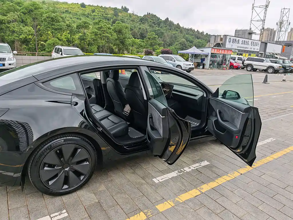Tesla Model 3 — миниатюра 23