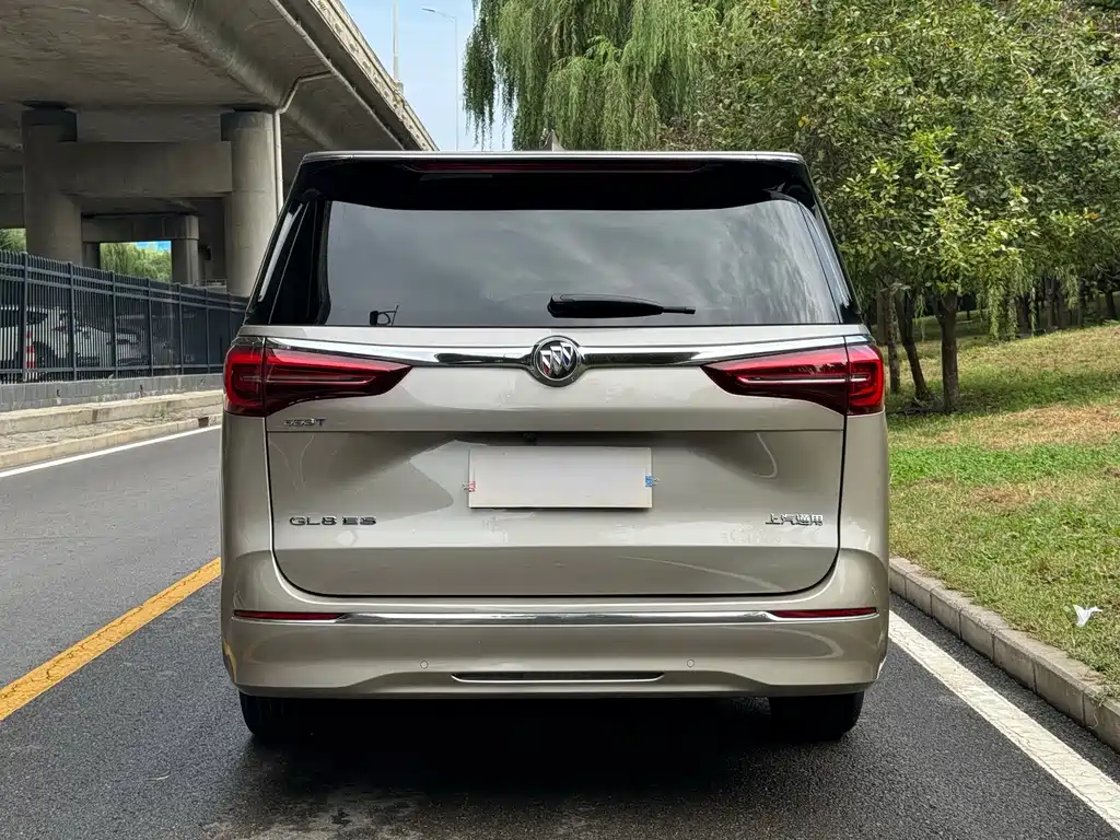 Buick GL8 — миниатюра 16