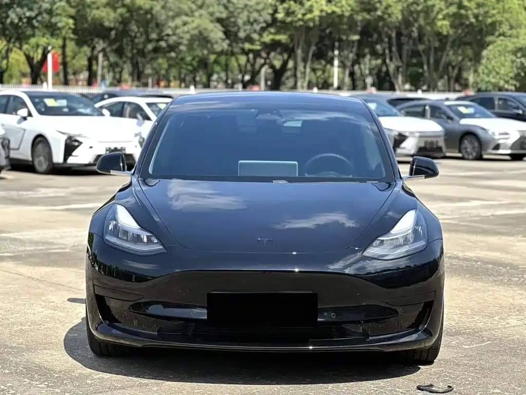 Tesla Model 3 — миниатюра 2