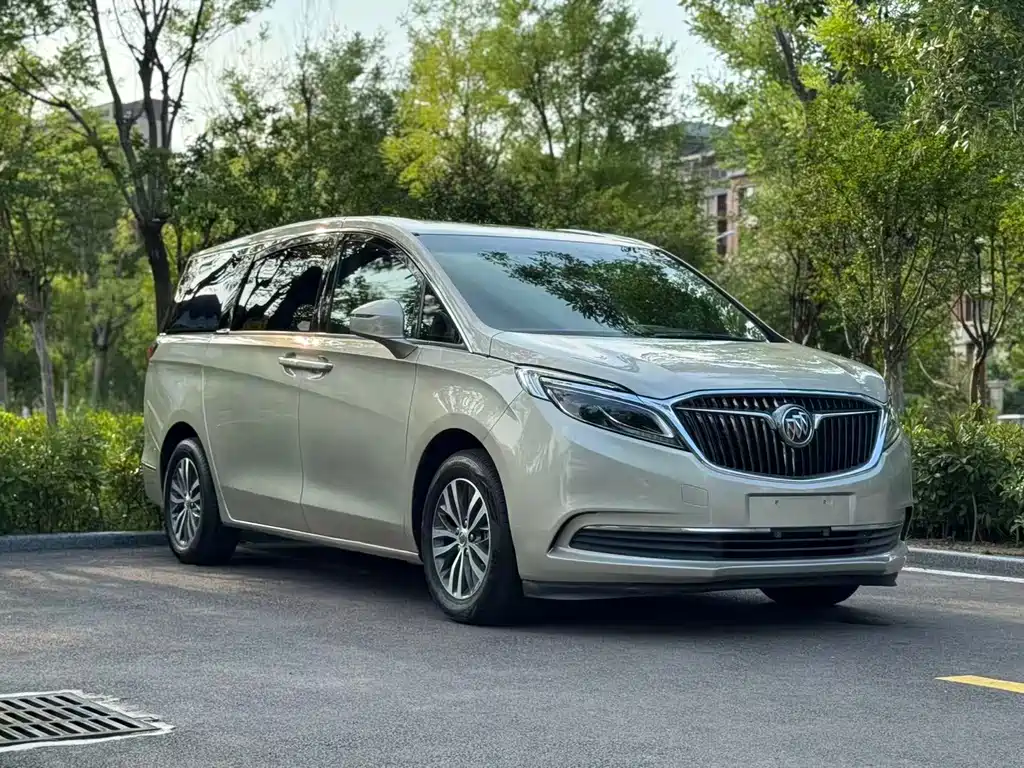 Buick GL8 2018 ES 28T Luxury VI